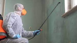 Why You Should Choose Our Mold Remediation Services in Nashville, NC