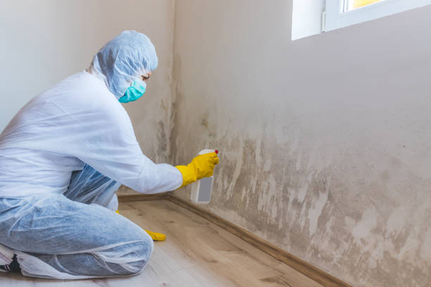 Asbestos and Lead Testing During Mold Inspection in Nashville, NC