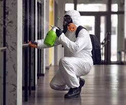 Professional Mold Prevention & Removal  in Nashville, NC